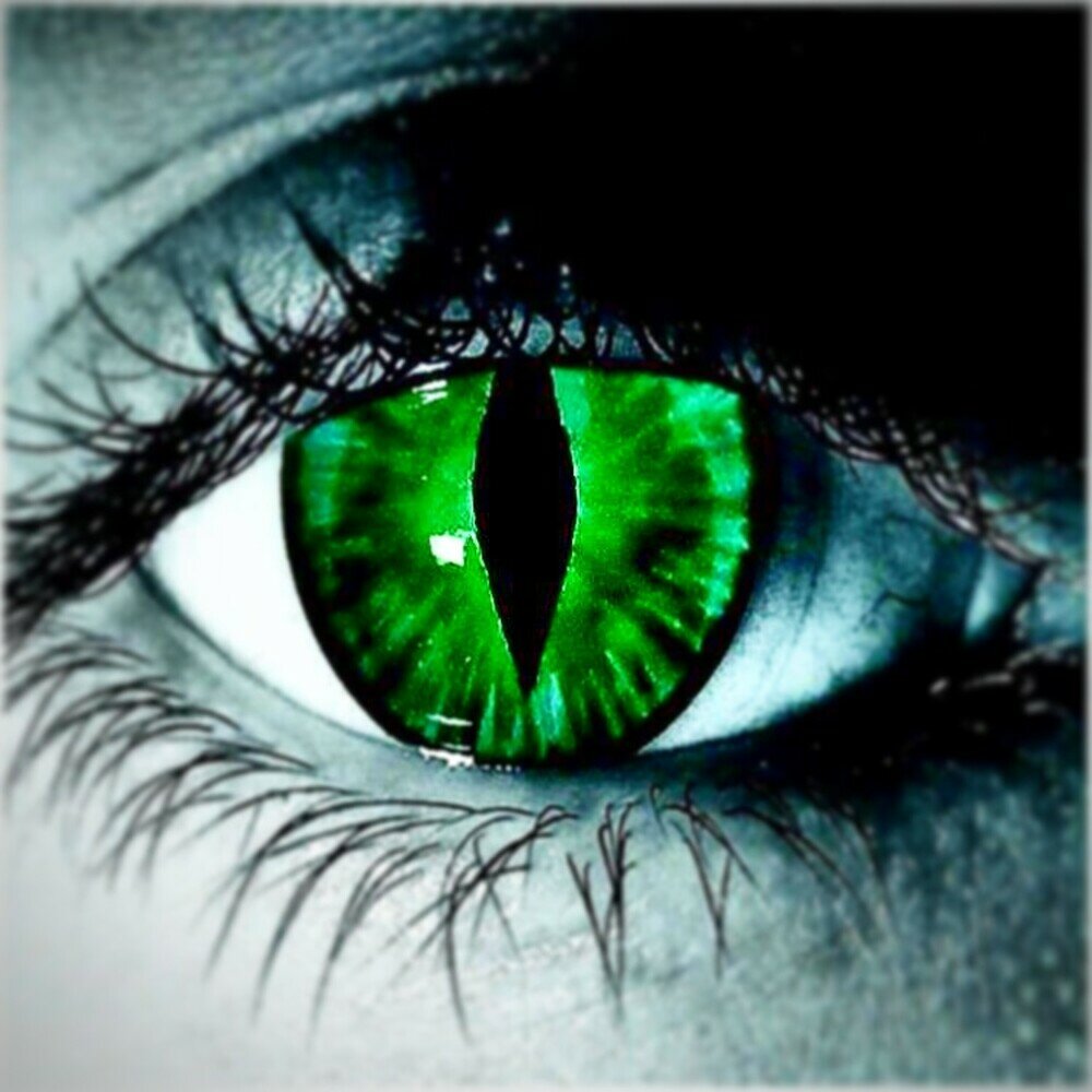 Линзы кошачий глаз зеленые