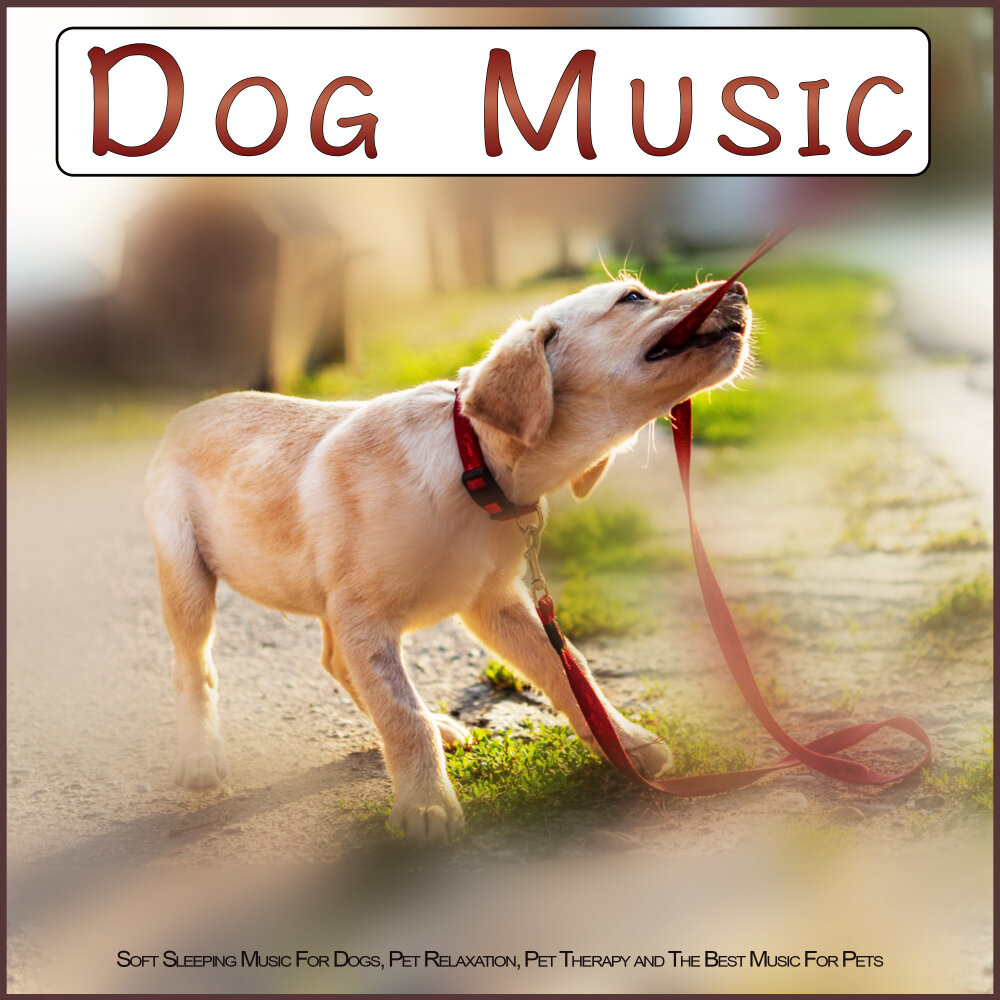 Dog music. Музыка дога.