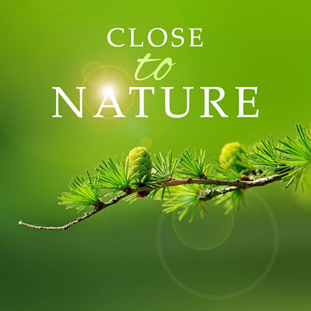 I go to nature. Close to nature. Live in Style Living close to nature мелодия. Closer to nature.