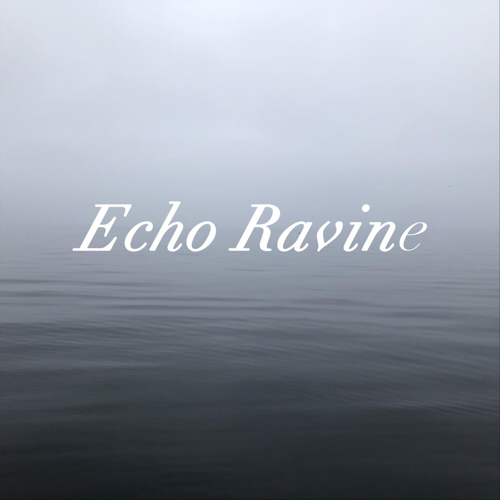 Return echo