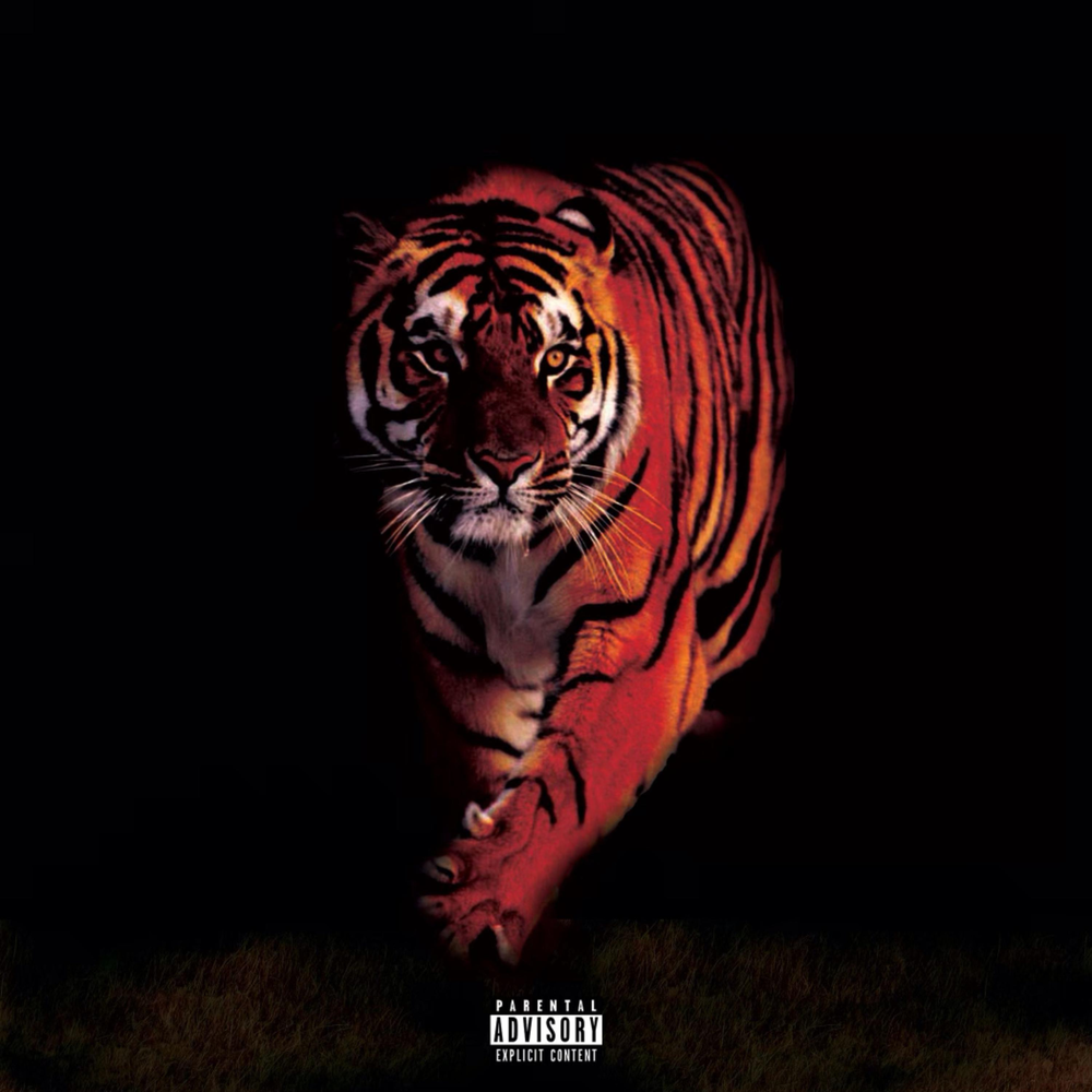 Тигр певец. Тигр саундтреки. Тигр саундтреки. Тигры любовь. Тигр песня.