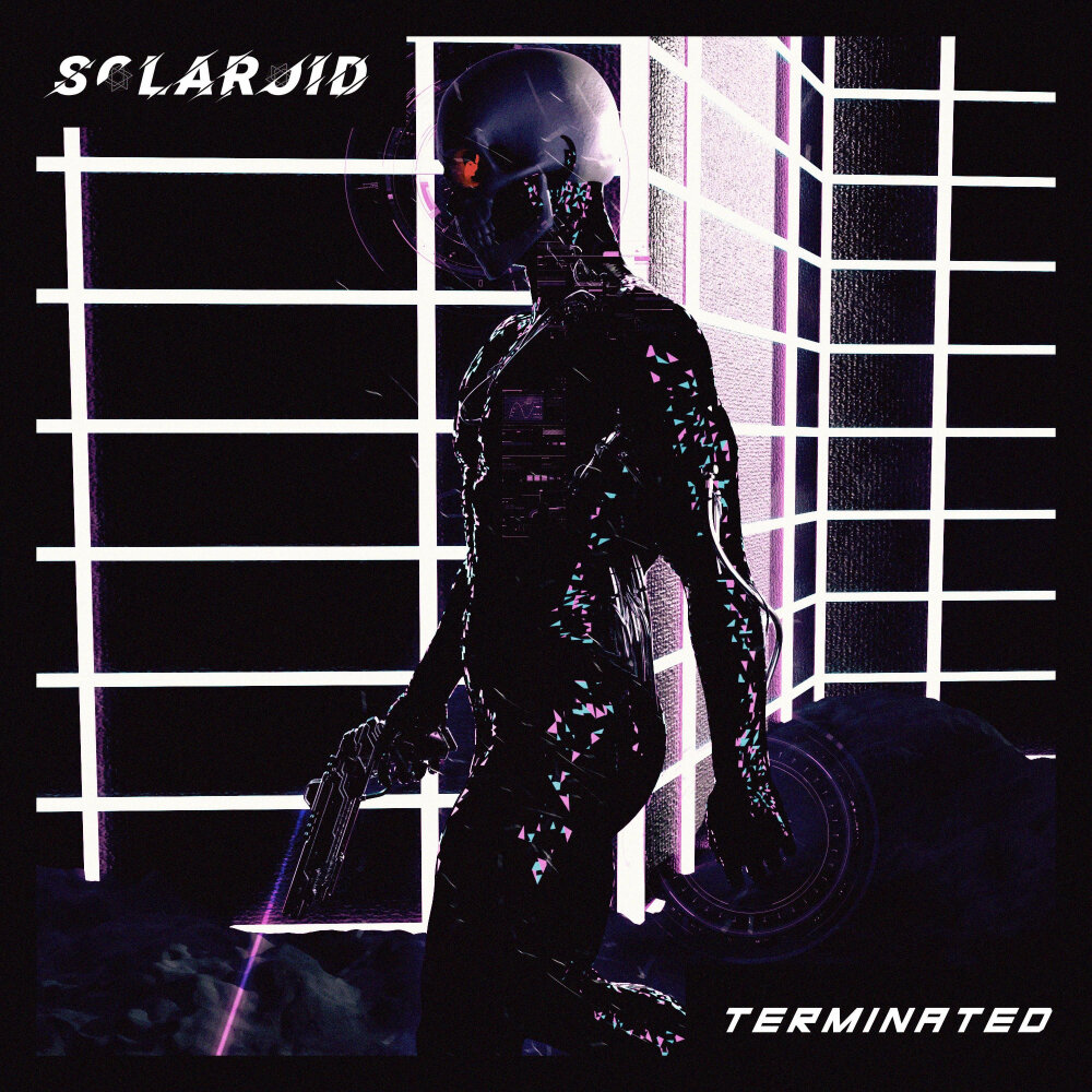 Terminating program now