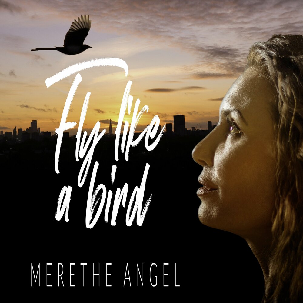 Flying angel. Ангел слушает музыку. Vincent de moor fly away. Flying moor. Дж ангел.