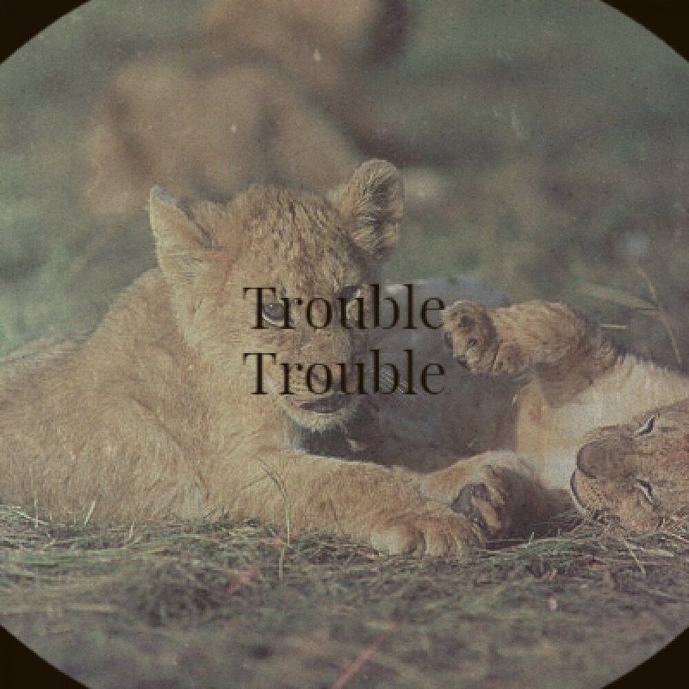 Trouble trouble until trouble troubles you. Don`t Trouble Trouble until Trouble Troubles you.. Don't Trouble Trouble until Trouble Troubles you.