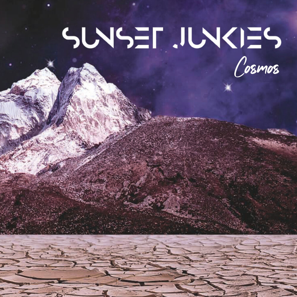 Junkies песня