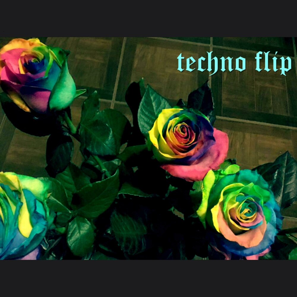 Techno flip. Радужная роза Эредия. Радужная роза Мондиаль. Радужные розы вид сверху. Радужные розы на черном фоне.