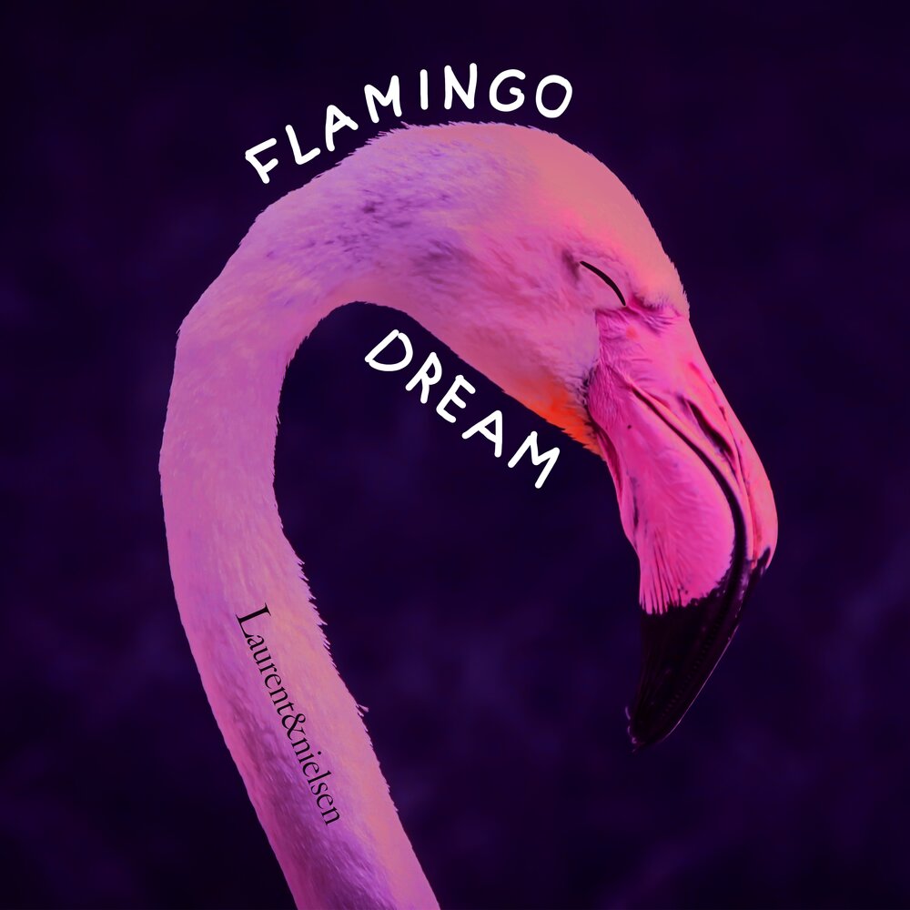 Слушать песню фламинго. Альбом с Фламинго. Розовый Фламинго ремикс. Фламинго песня. Фламинго рингтон.