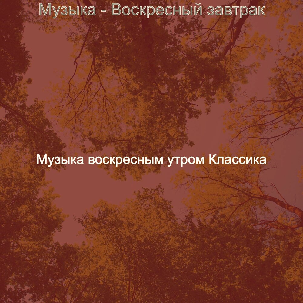 песня воскресное утро. хороший завтрак песня. песня головы на завтрак. песня про завтрак. песни для готовки.