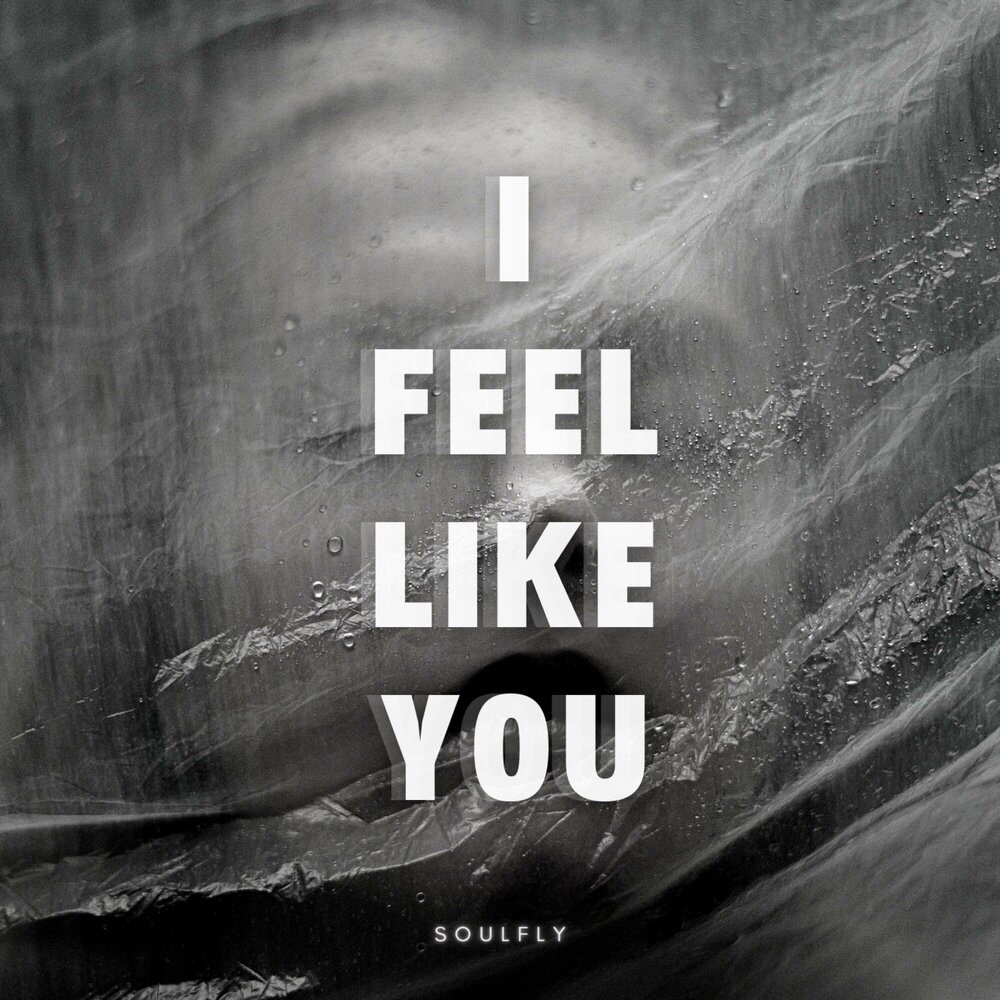 I feel like it. Feel me альбом. I feel you.