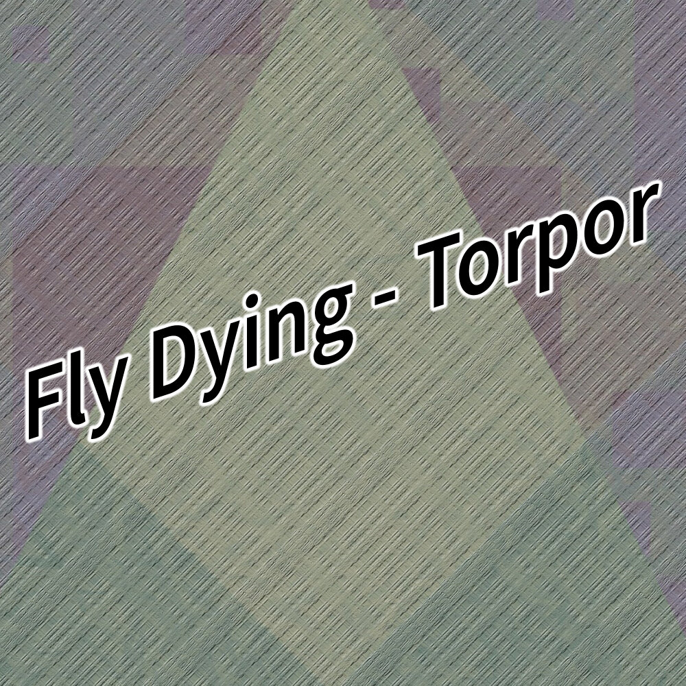 Fly die песня. Torpor.