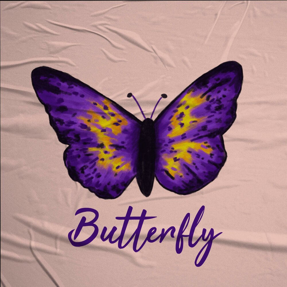 Альбом с бабочками. Альбом Butterfly. Butterfly песня.