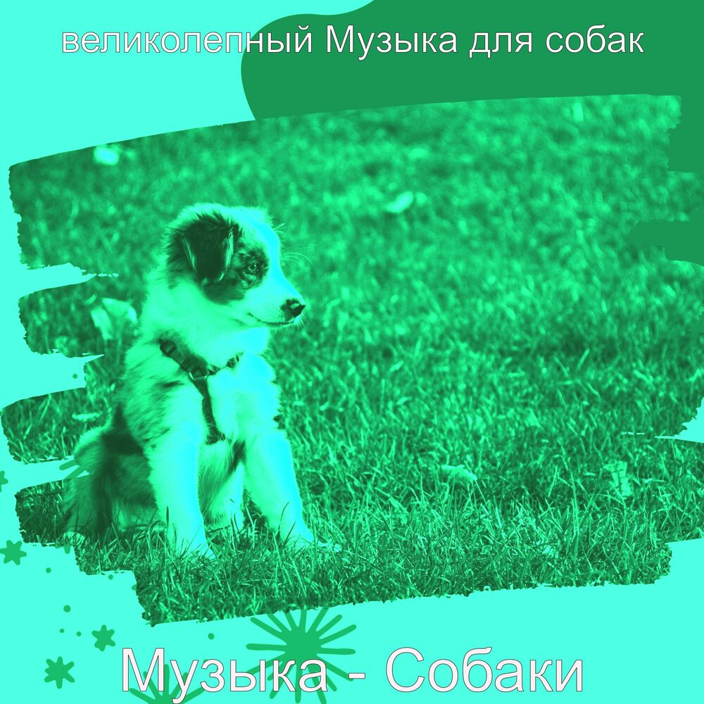 Музыка для собак. Щенки альбом. Песня про собаку. Песни про собак. Песни про собак слушать онлайн бесплатно в хорошем качестве.