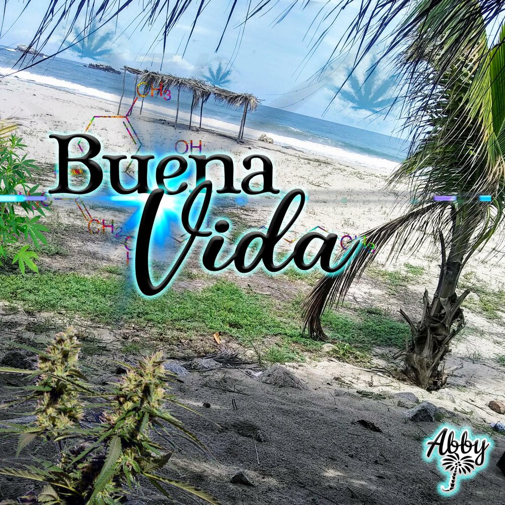 Buena vida. Diego torres. Buena vida. Dark point. Daddy yankee.