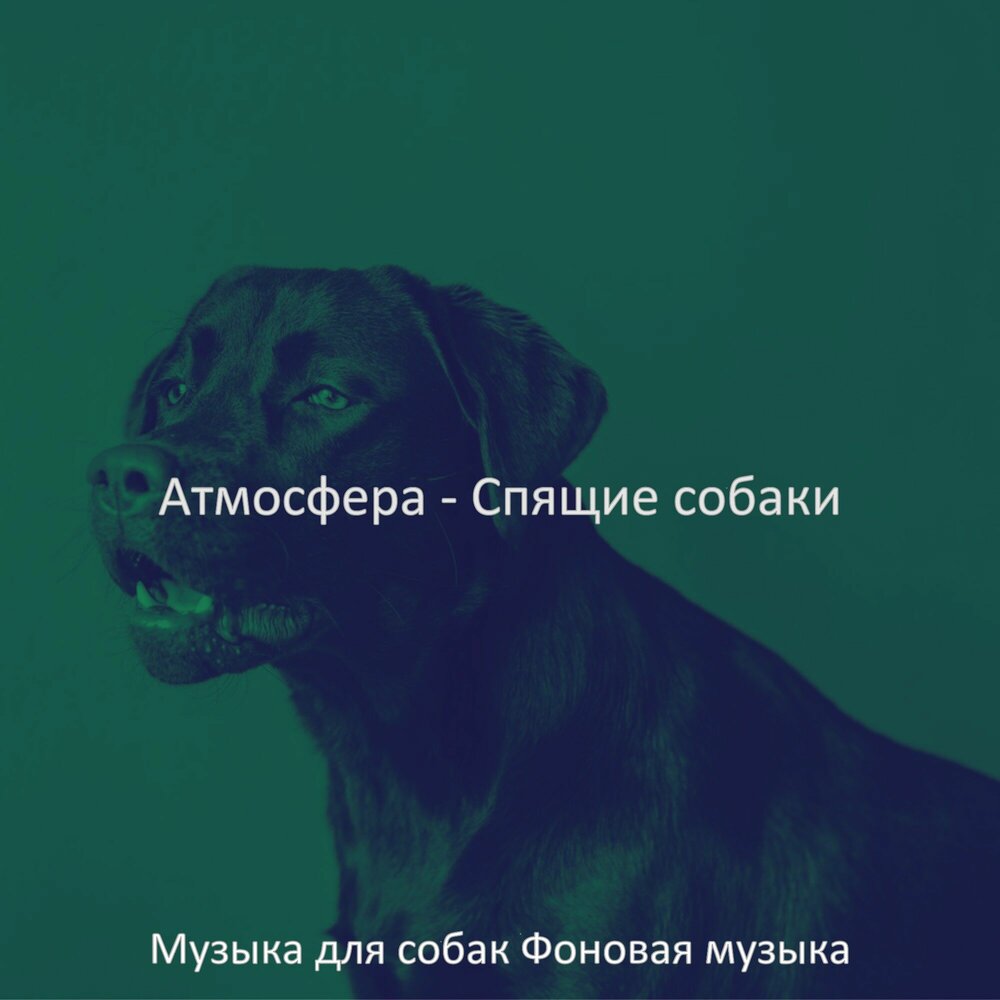 Музыка для собак