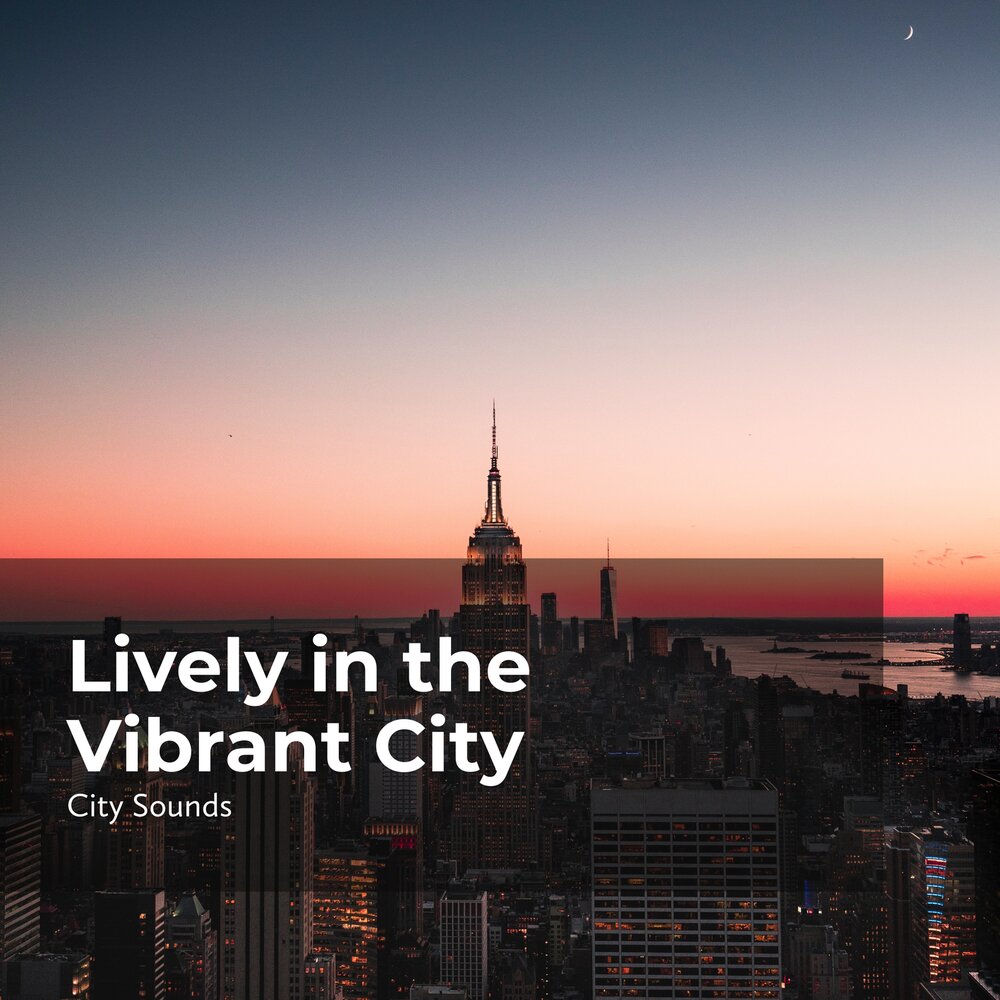 «the city that never sleeps» сша фото. City sleeps. Sleepstim game. City sleeps. City sleeps.