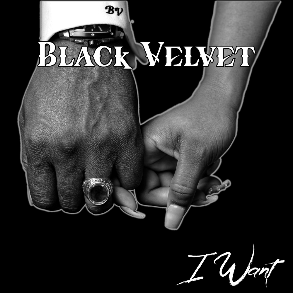 Черный бархат mp3. Black Velvet песня. Блэк вельвет песня. Лишь черный бархат. Velvet песни.