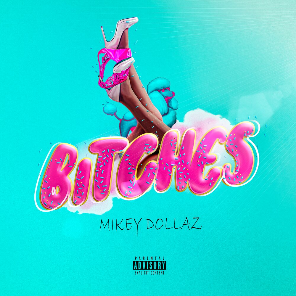 Bitches bitches album. Исполнительница Mikey.