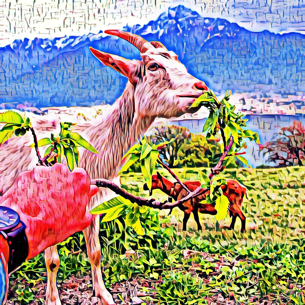 YandexMusic profile picture