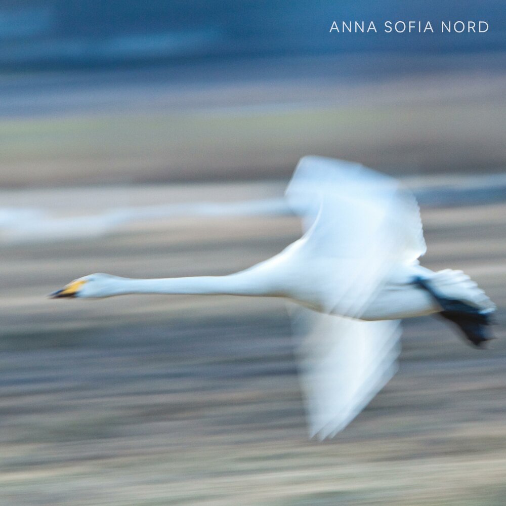 Anna clear. Anna Sofia Nord Wandering thought - Single.