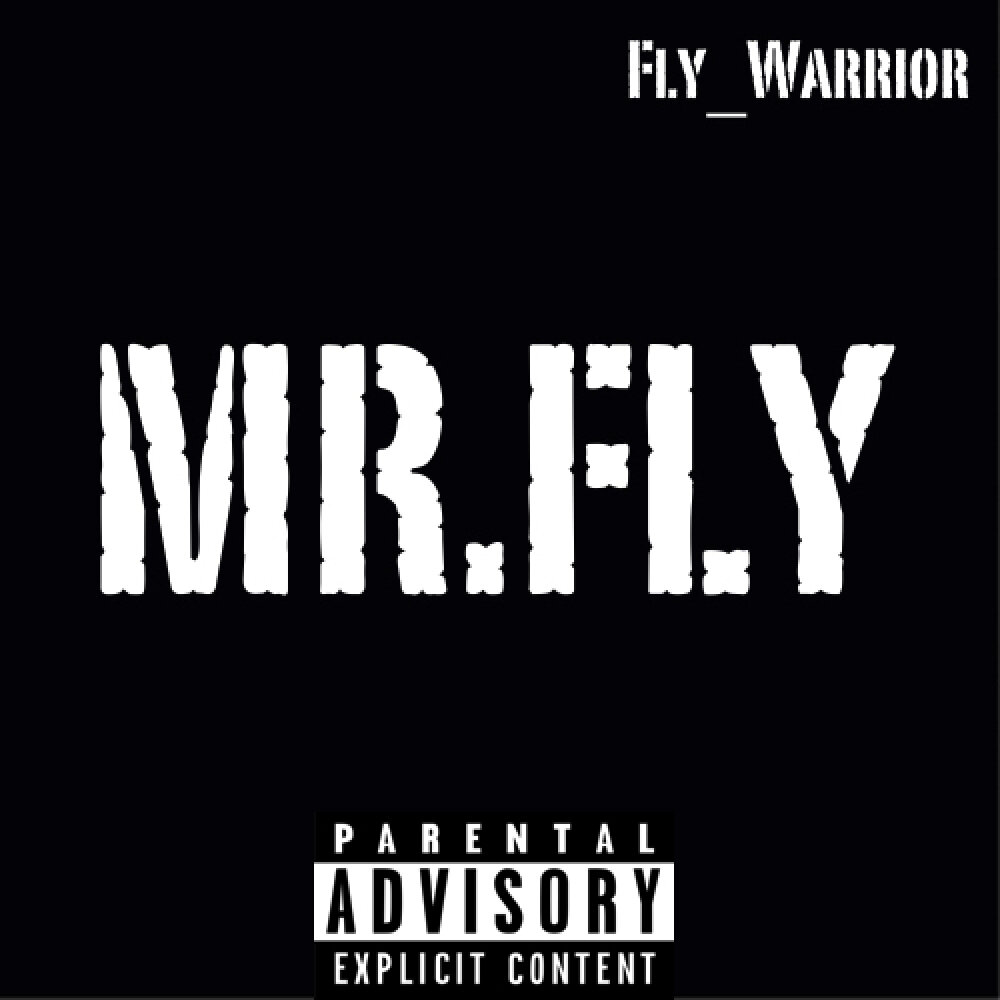 Warrior деньги. Мистер Флай. Fly Warrior. Песня Mr Fly. Taech Mr to Fly.