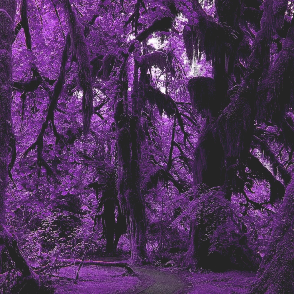 Фиолетовое неоновое дерево
