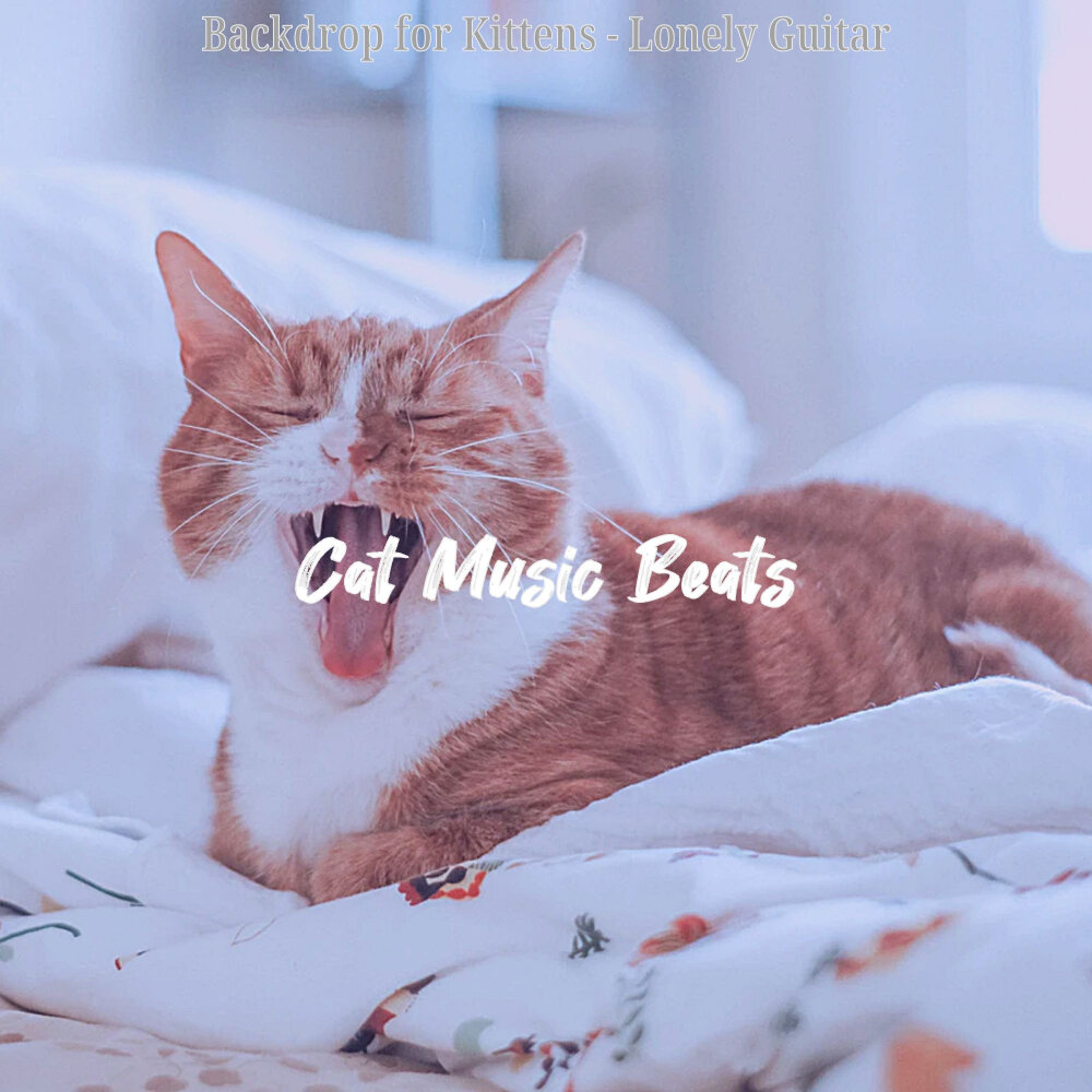 Cat beats. четкий рэп. Beats cat original. Cat beats. музыка для кошек.