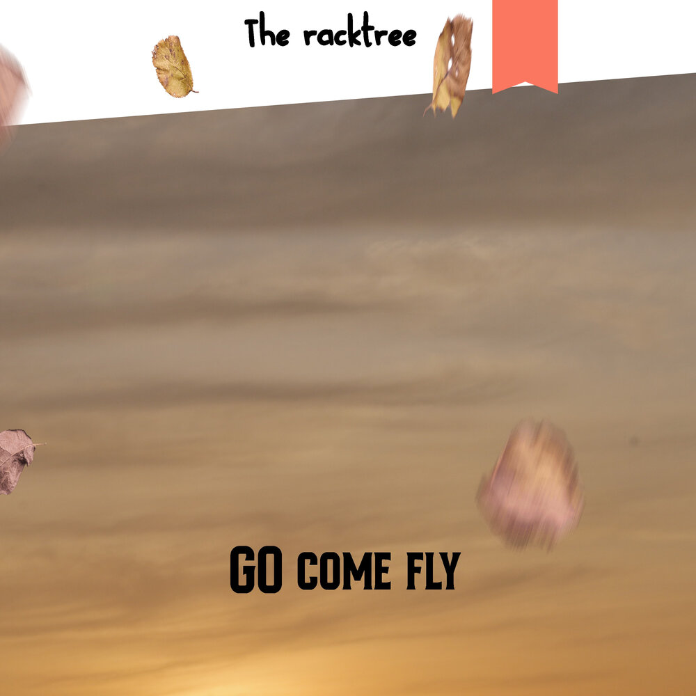 Fly live play