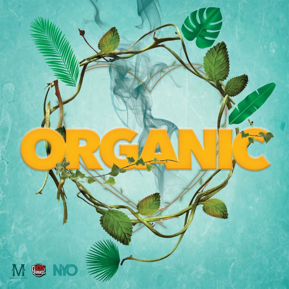 Файф альбомы. Органическая музыка. Us organic mark. Organica music style mp3. Organic music.