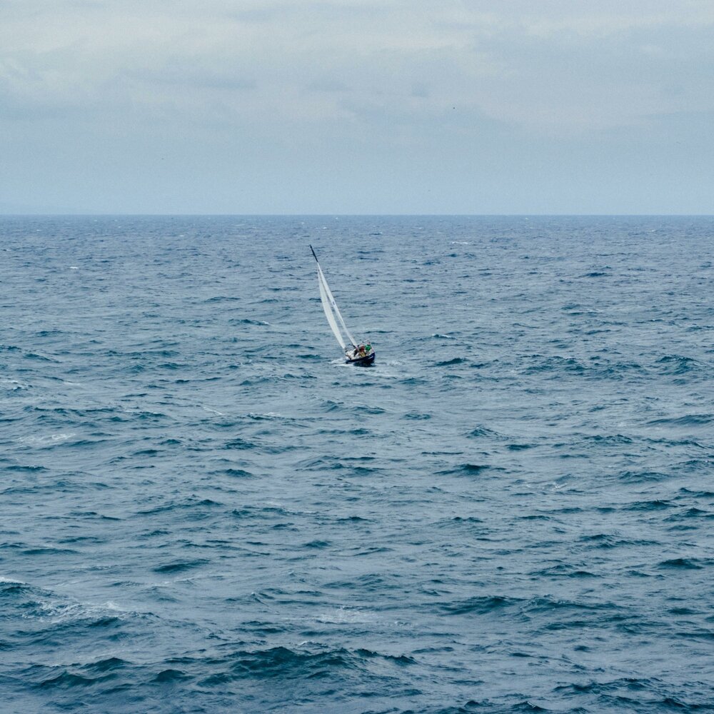 Одиночное море. Чайка море катер. Море слов. Lost at Sea картинка.