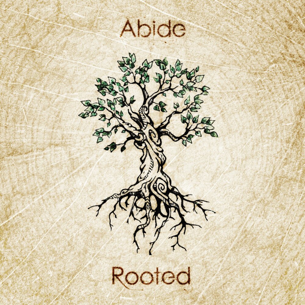 Root single. Rooted.