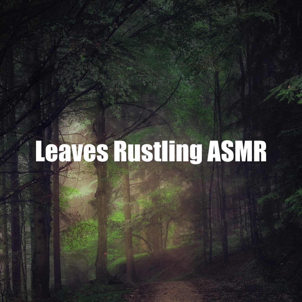 Rustling. Leaves Lives правило.