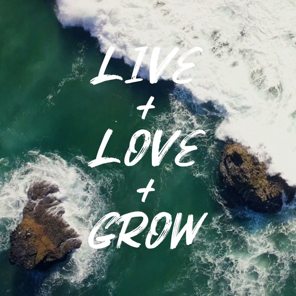 Make me grow. Grown to love. Grow logo. Love grows here перевод на русский. Короткие фразы о любви.