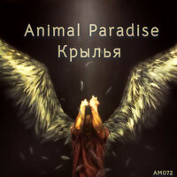 artist-cover
