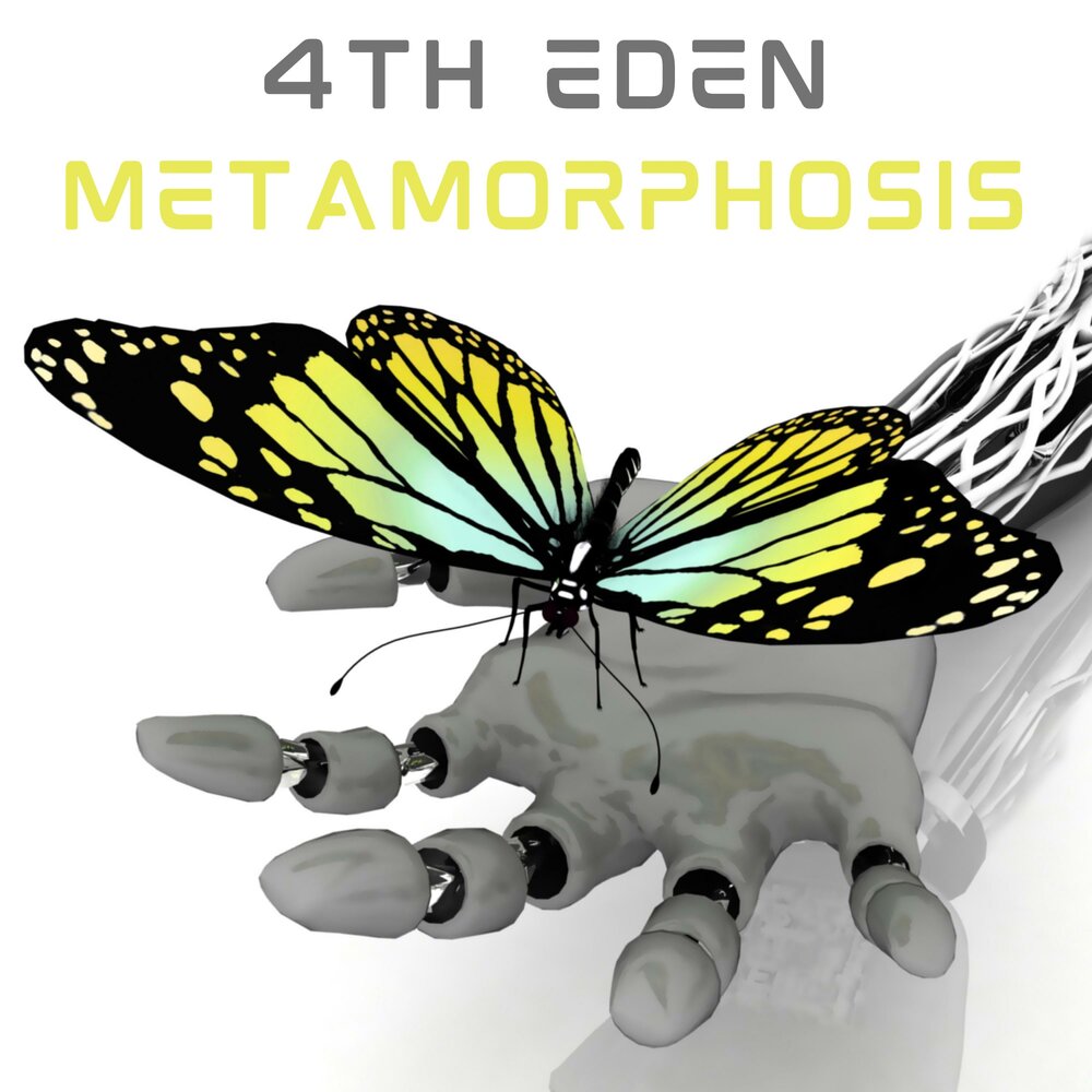 Включи metamorphosis 2. Робот бабочка. Бабочка на руке робота. Бабочка будущего.