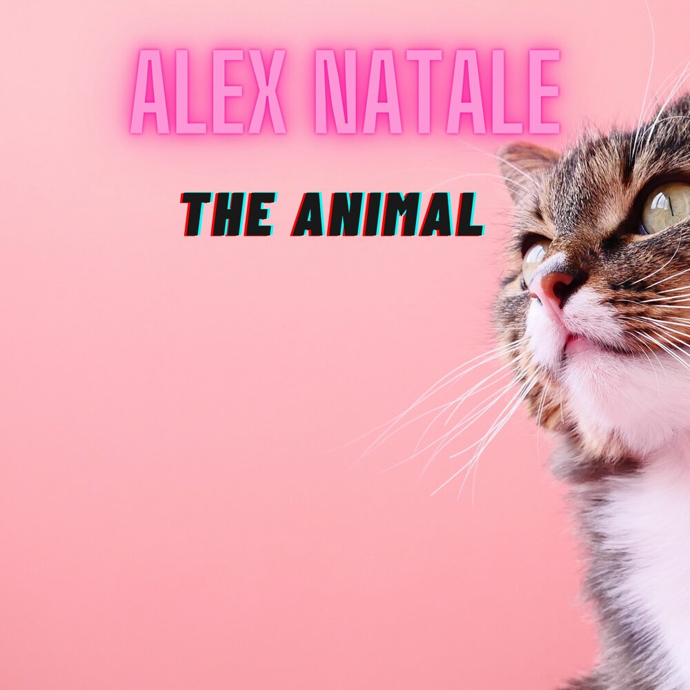 Alex animals