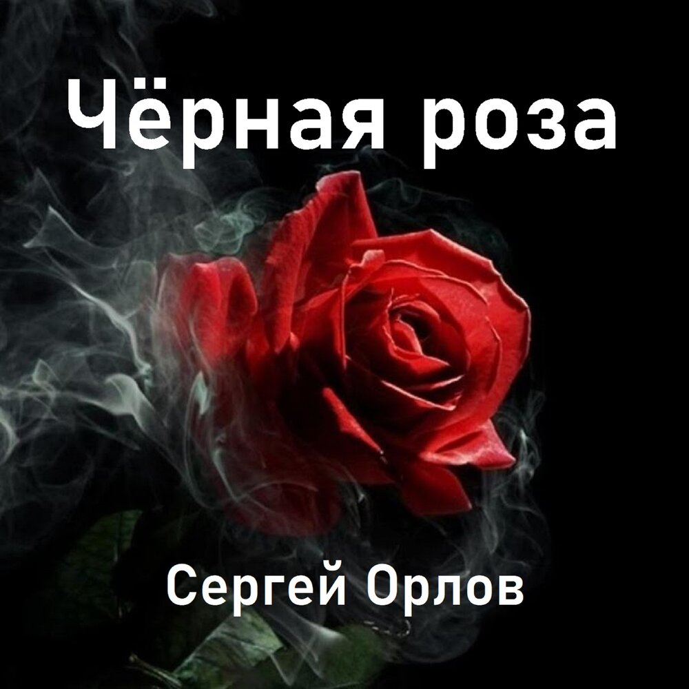 Black rose текст. Сергей Орлов черная роза. Люблю тебя черная роза. Чёрные розы песня. Черная роза Орел.