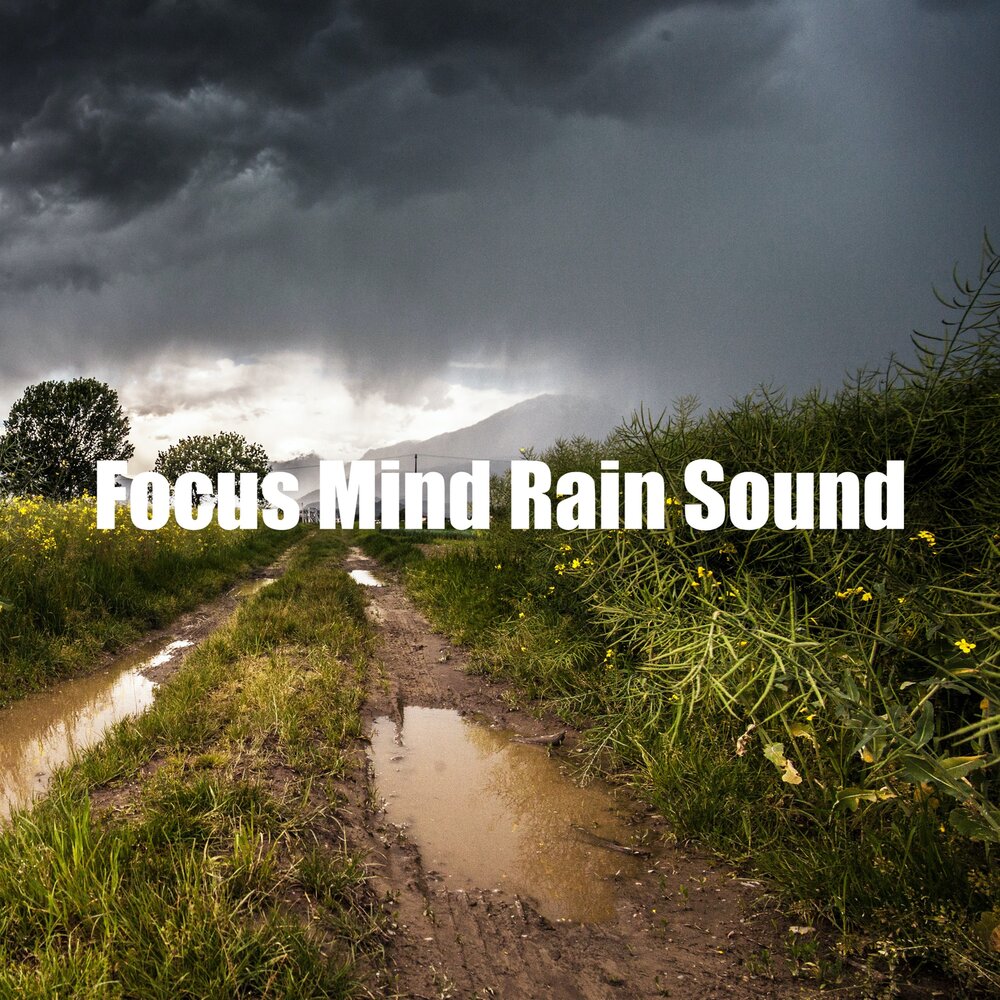 Rain ambience. The more wonderful Rain. Rain Sound of your Scream песни.