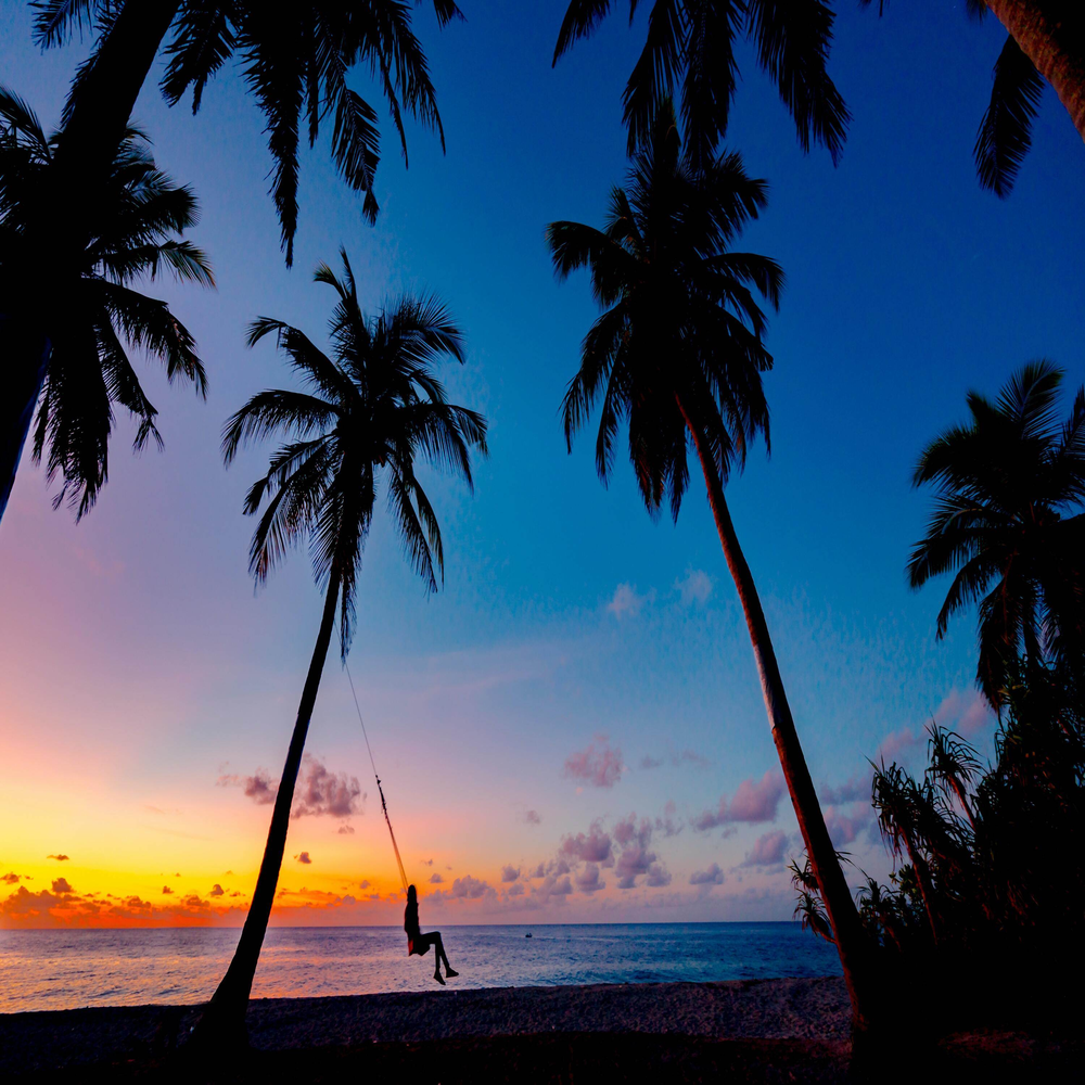 Мальдивы. Человек у пальмы смотрит закат.