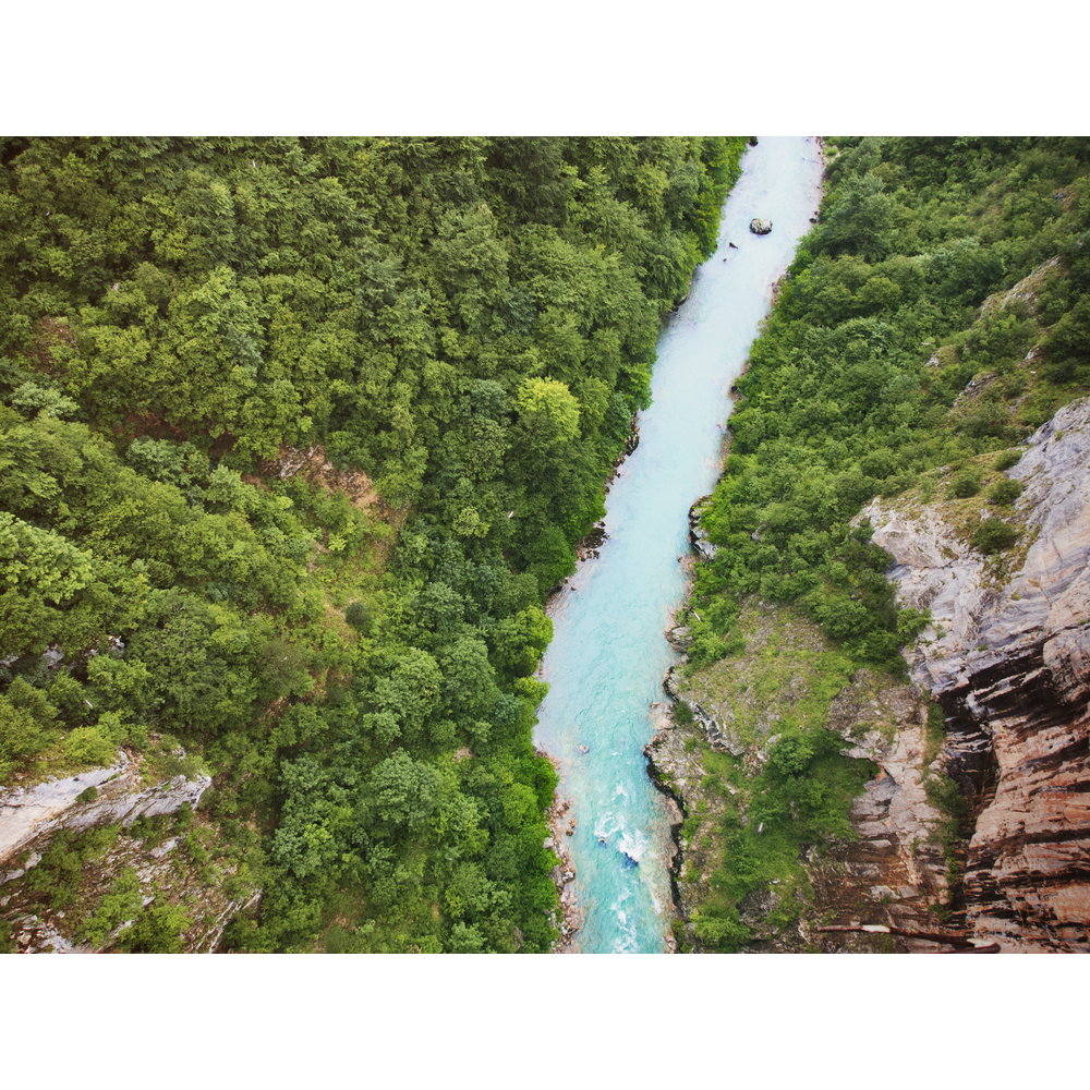 Каньон реки Тара, Черногория отзывы