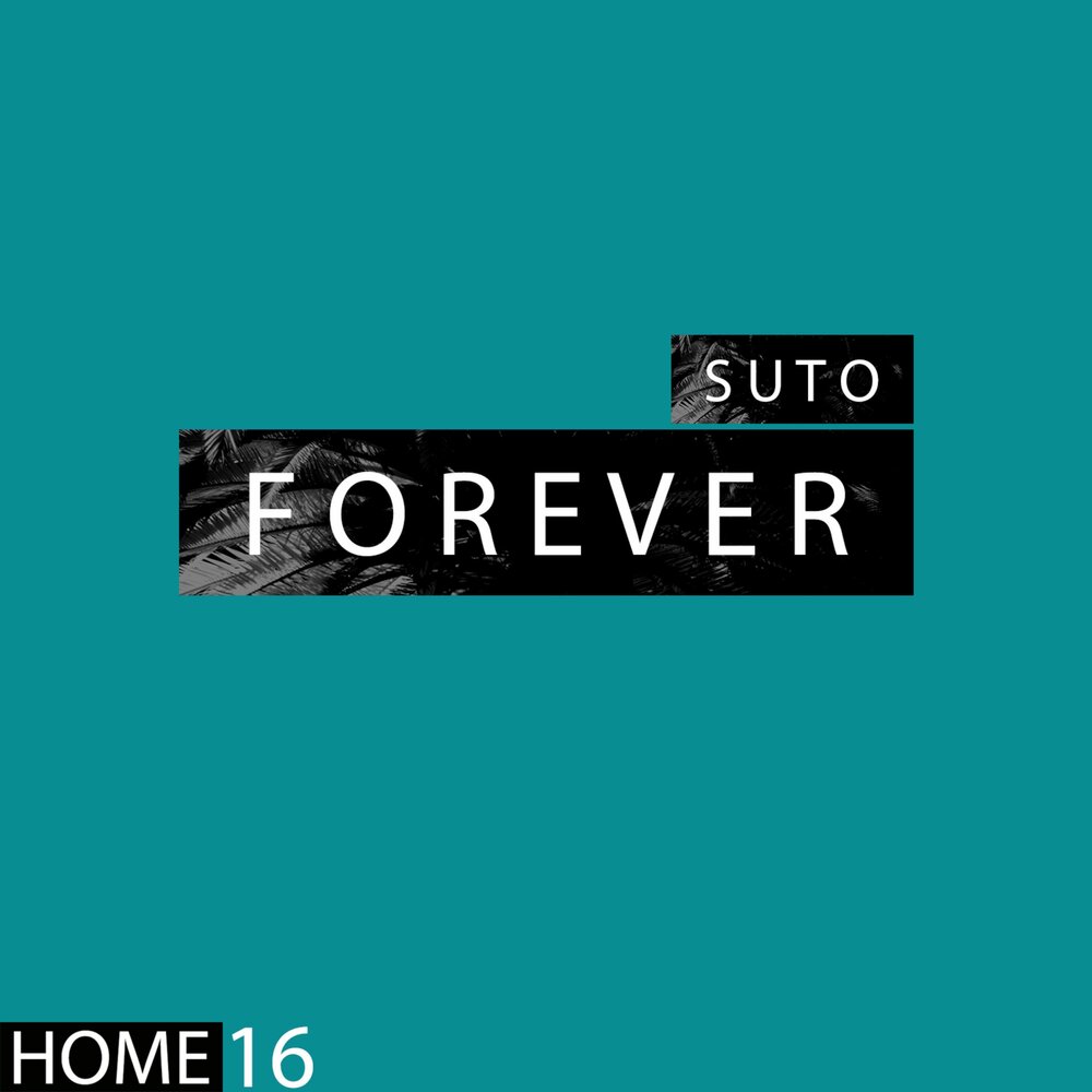 суто. Rebirth музыка. суто. Itecs group. Suto artist.