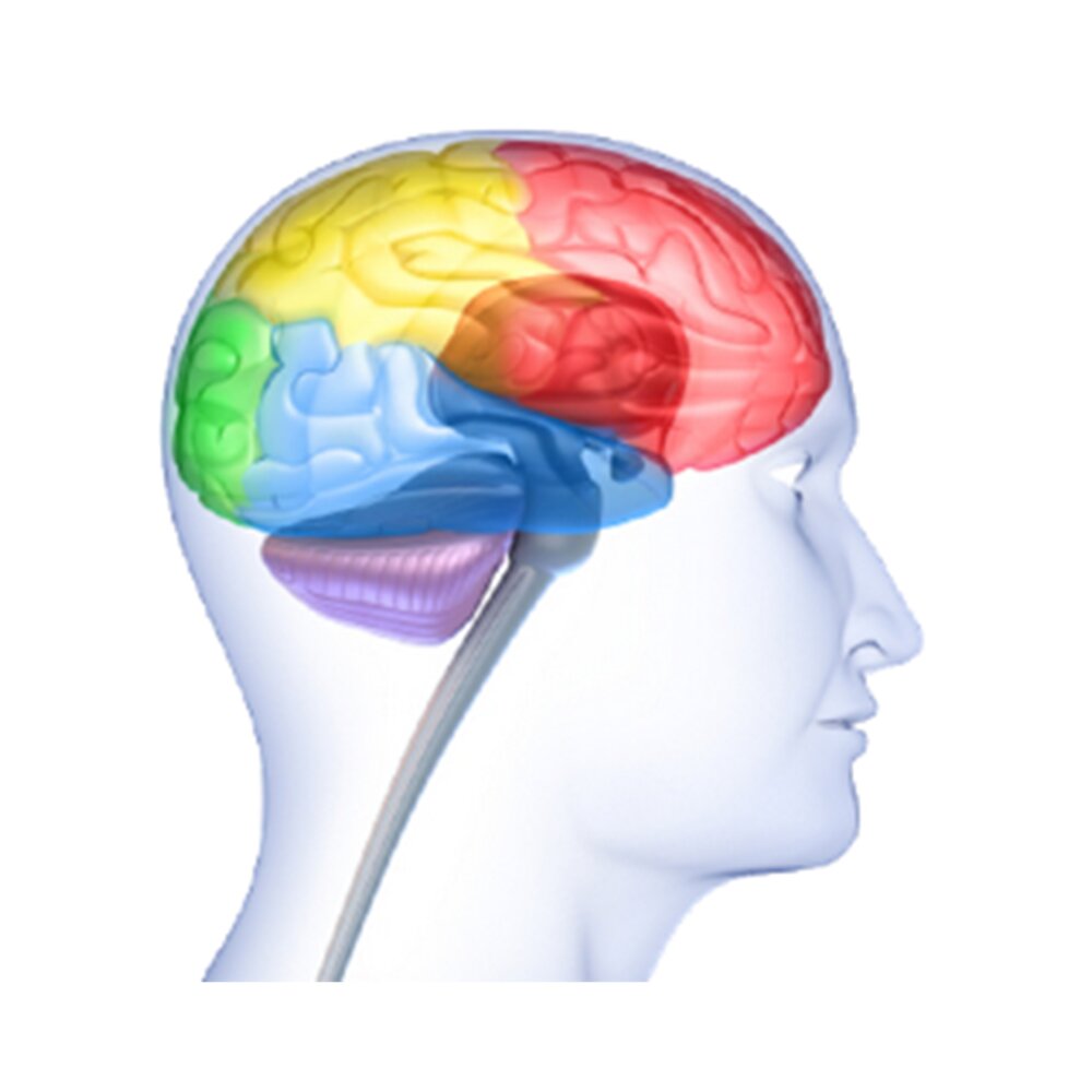 Cognitive testing