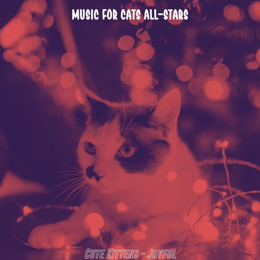 Music for cats. Cats Orchestra.
