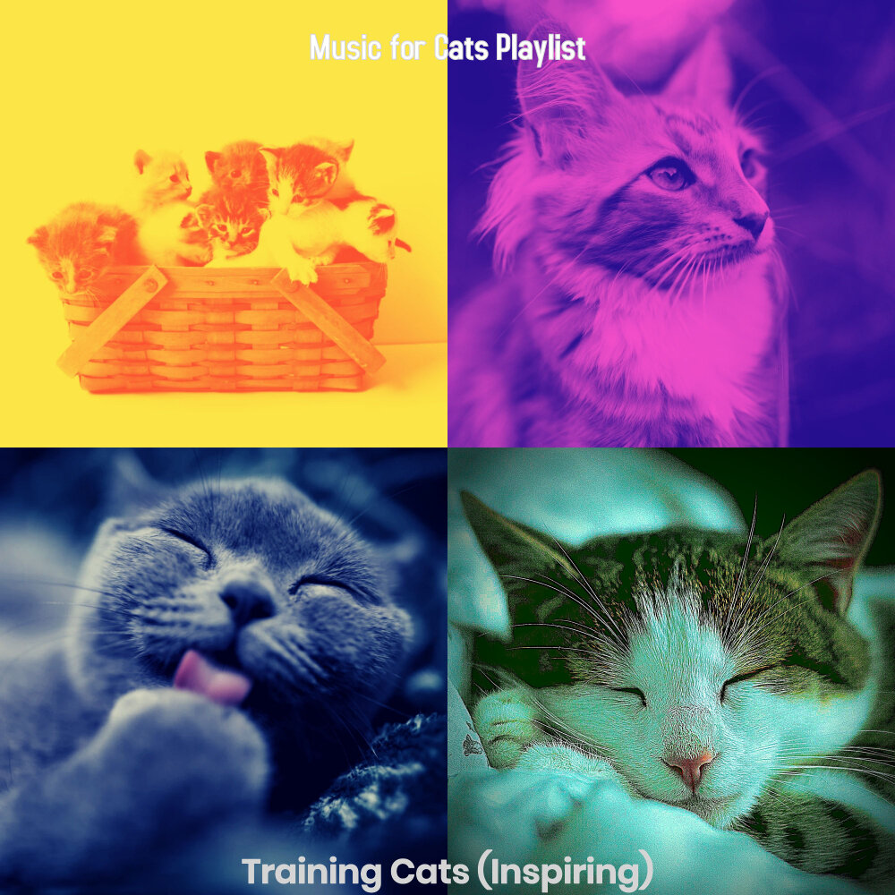 Music for cats