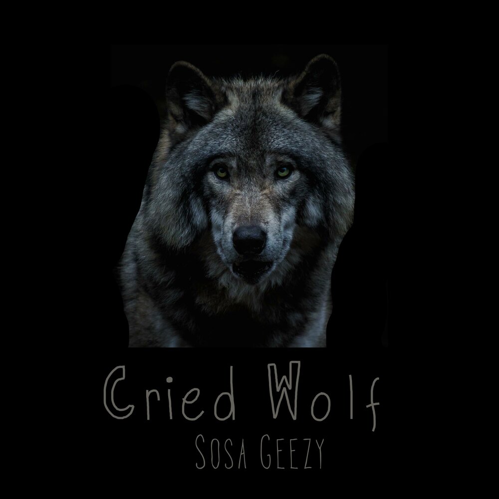 Слушать волк 1. The Wolf слушать. Cry Wolf. Wolf песня слушать. Crying Wolf.