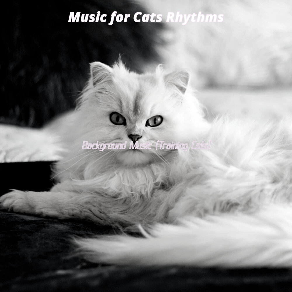 Нежная кошка слушать. "Music for Cats" && ( исполнитель | группа | музыка | Music | Band | artist ) && (фото | photo). Cat слушает музыку.