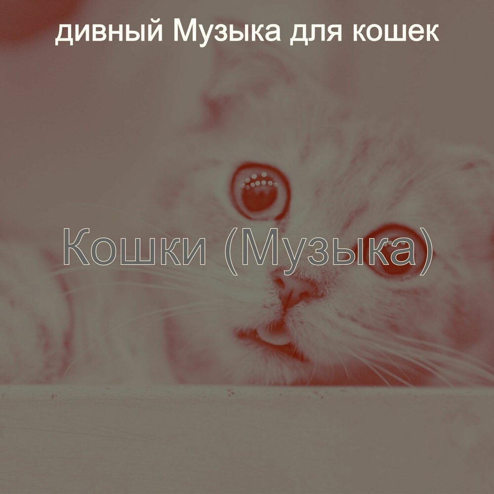 Котик дивный песня. Котик дивный песня. Чудный кот. Котик дивный песня. Котик дивный песня.