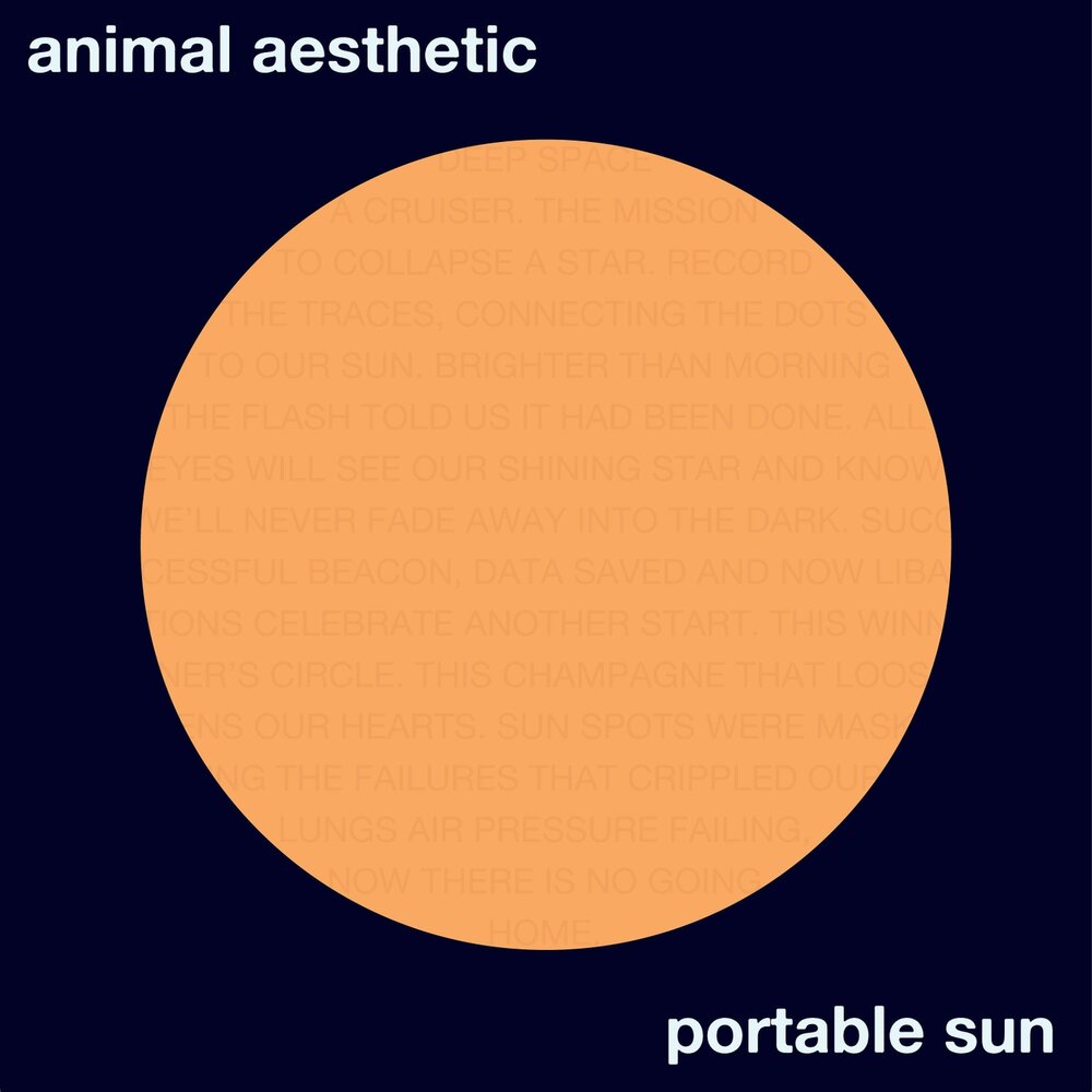 Animal sun перевод