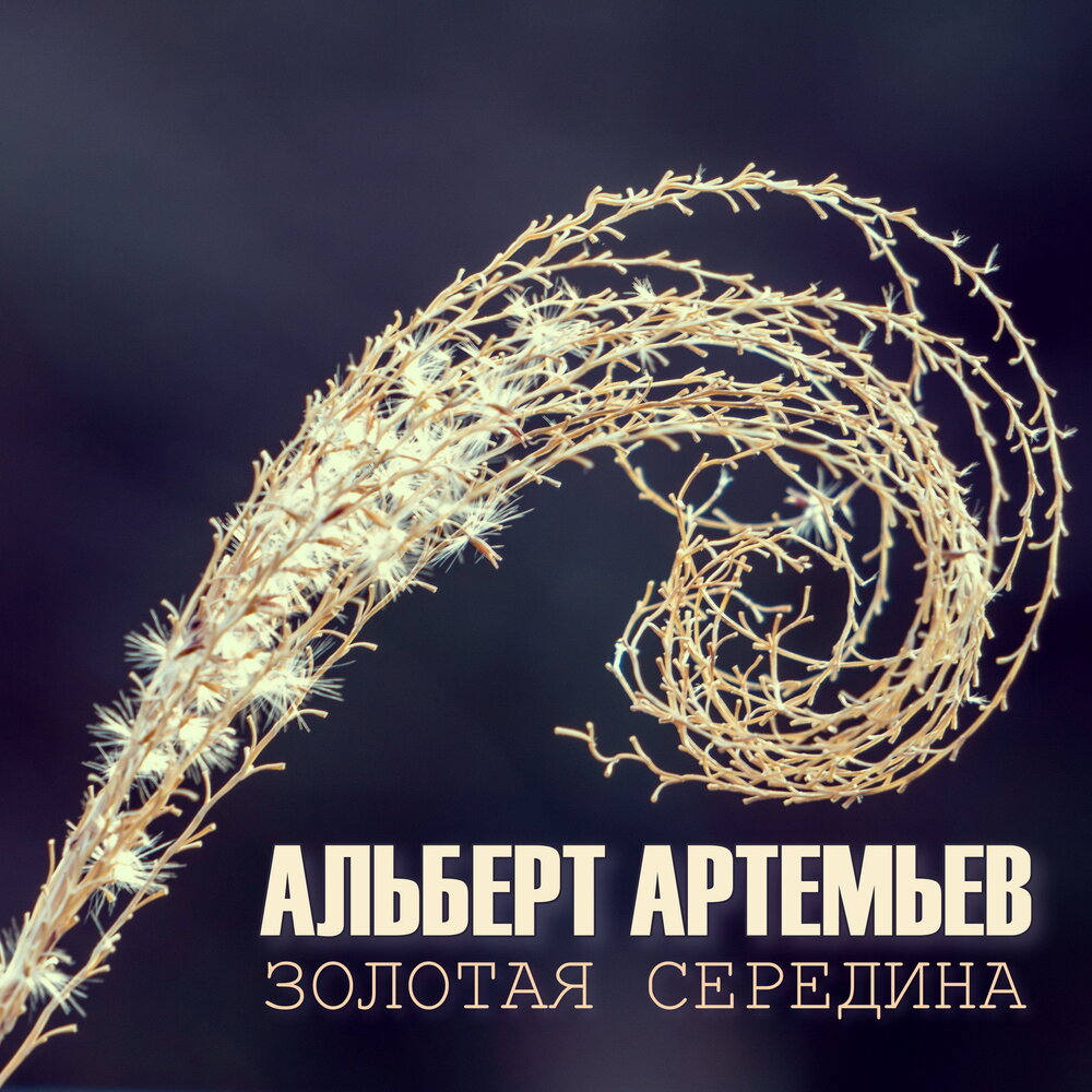 Слушать музыку артемьева лучшее. Золотая середина. Золотая середина фото.