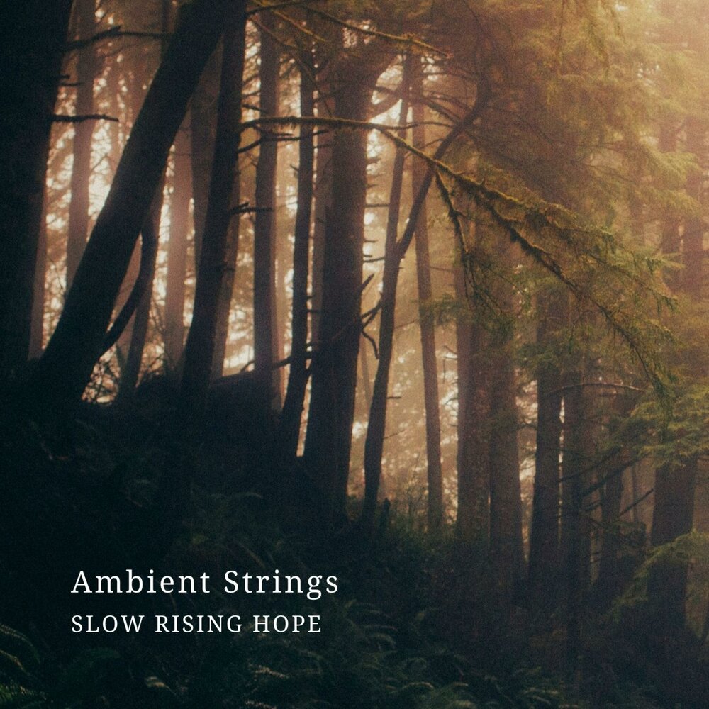 Rising hope. Ambient.