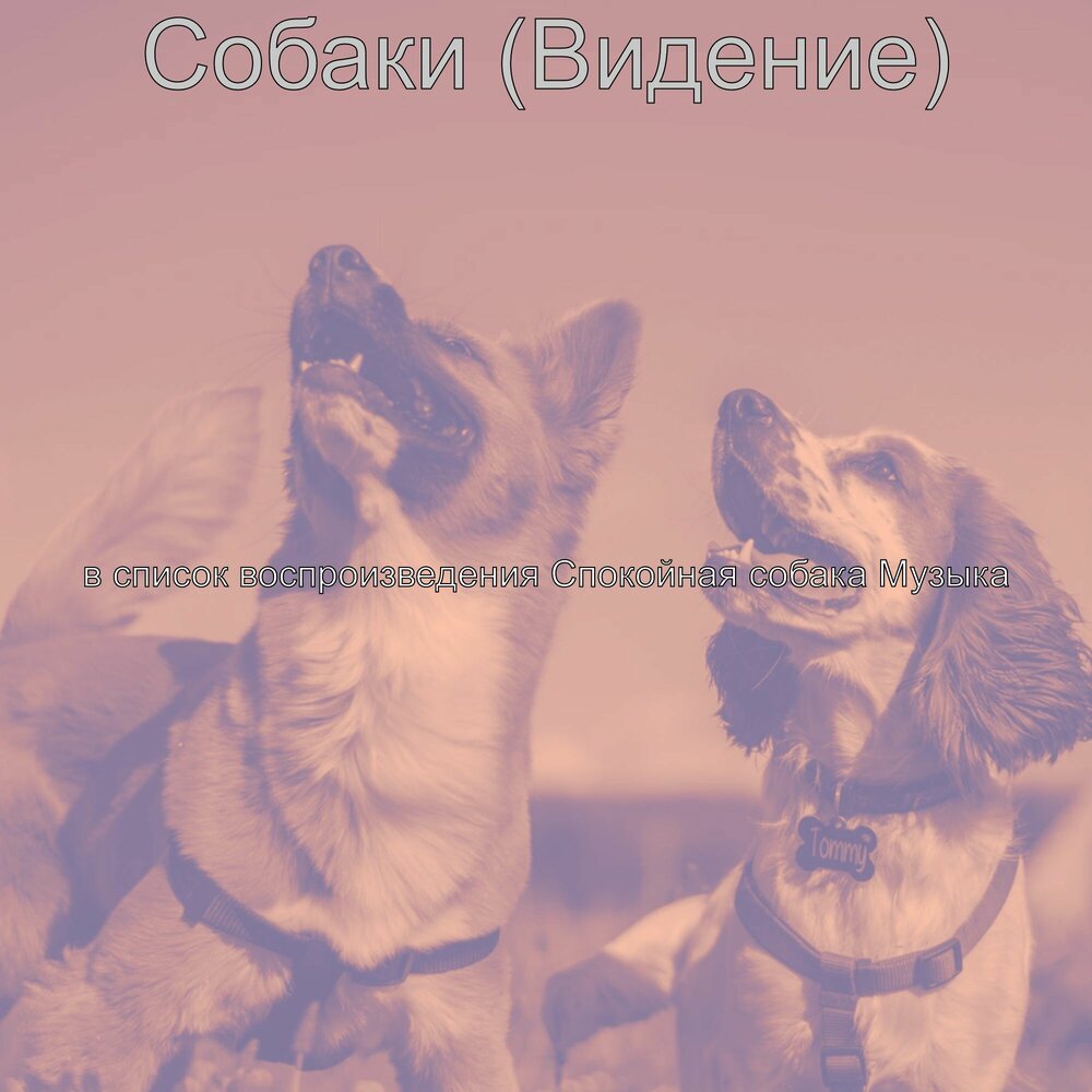 Песня на альбоме собака. Альбом 2014 года с собакой музыка. Обложка песни грязь щенки. Песня пёсик vtkfyf [fvtryrj. Песня моя собачка одета дороже тебя слушать